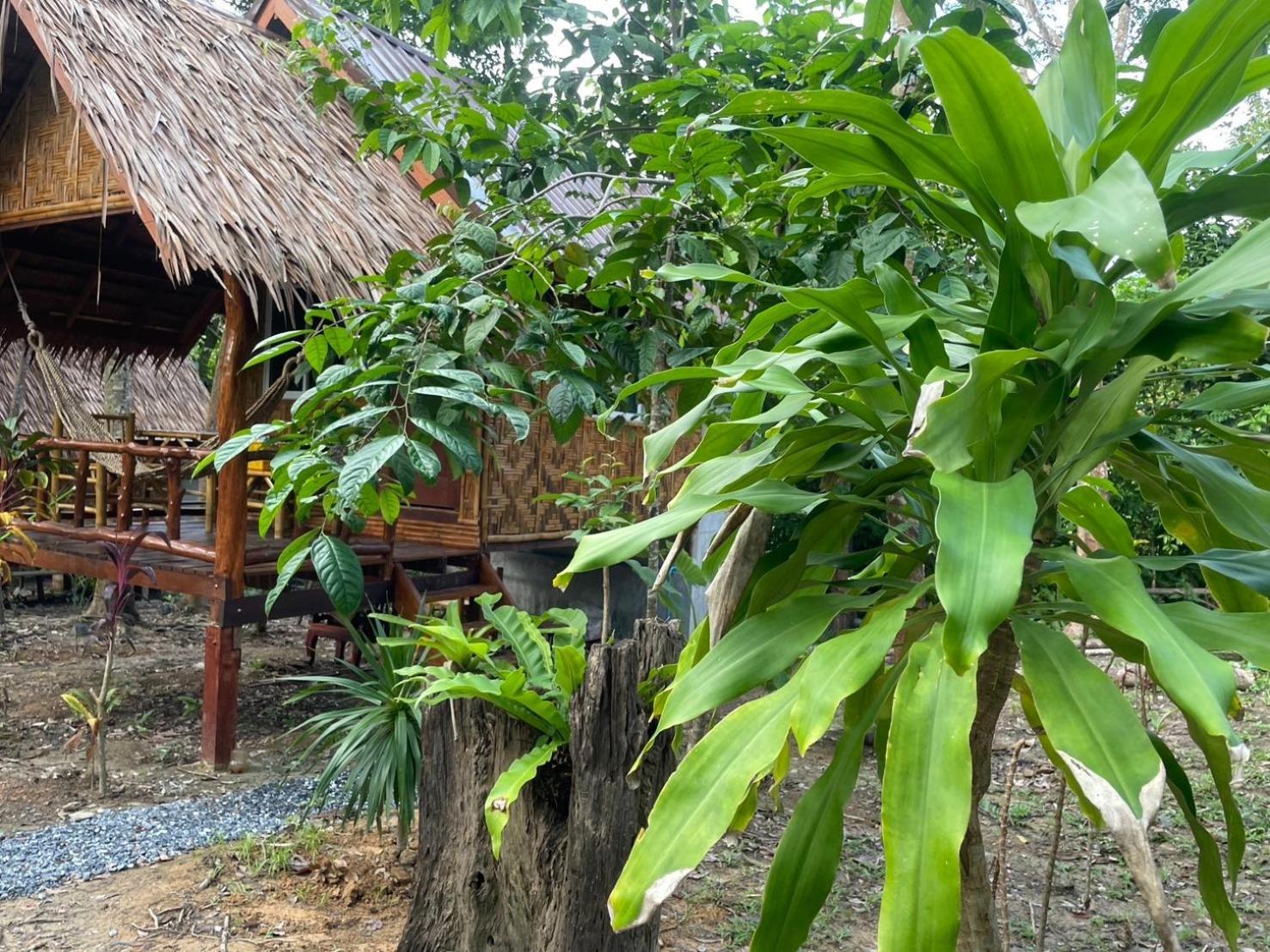 Dahla Lanta Hut Koh Lanta Exterior foto
